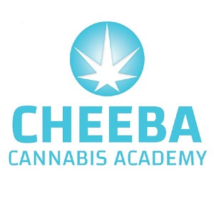 cheeba