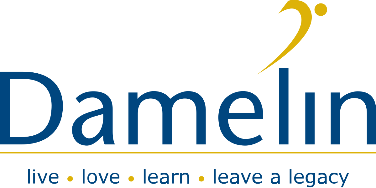 Damelin logo