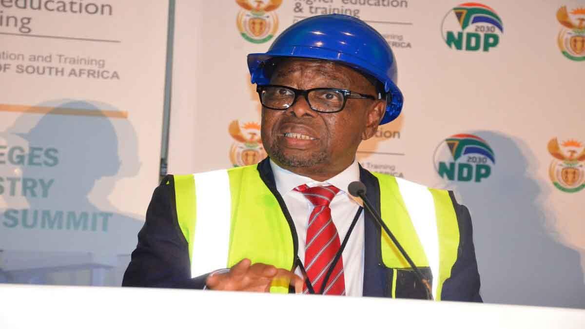 Blade Nzimande at summit in Cape Town