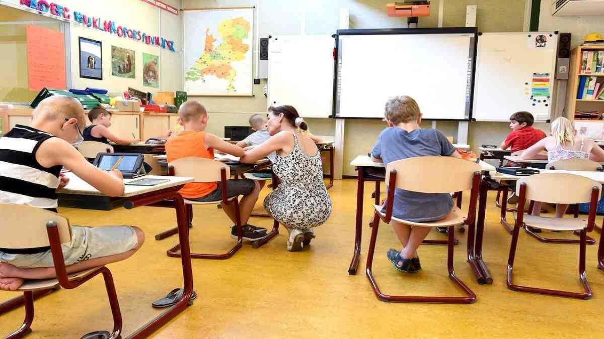 Teachers