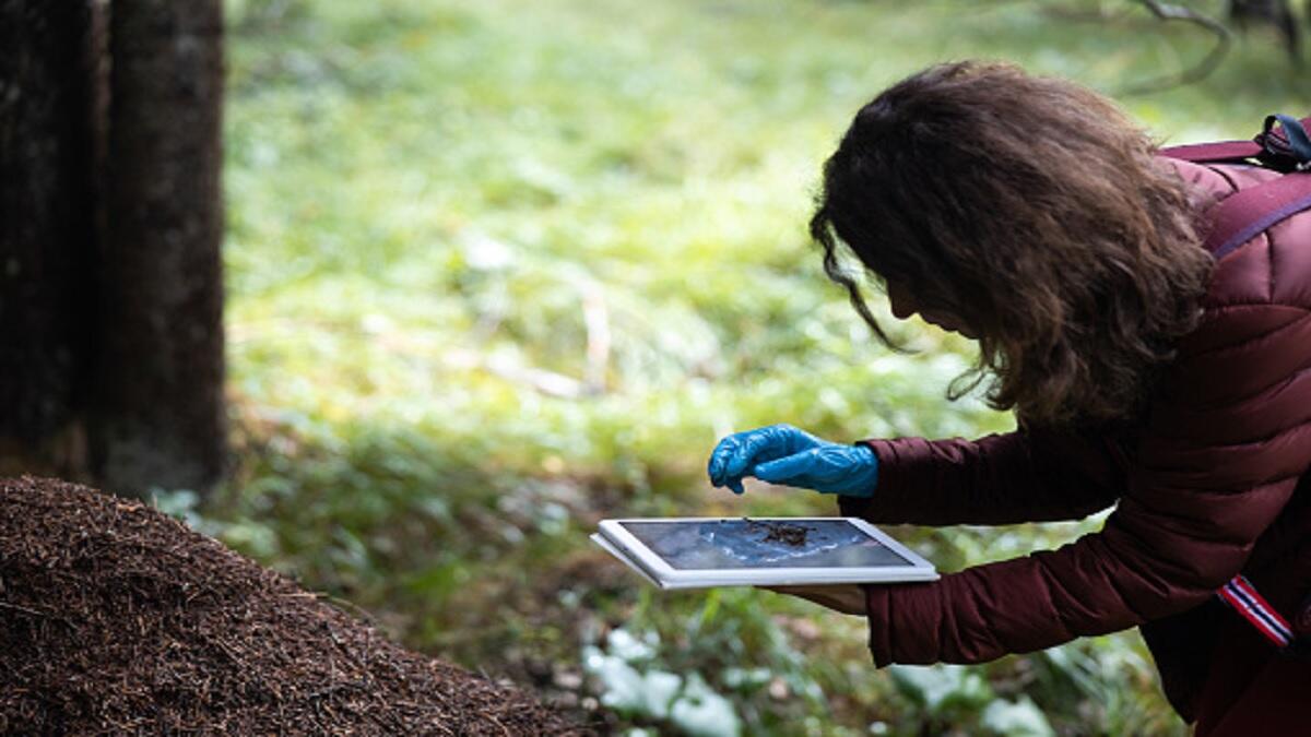 A wildlife biologist practicing in their field. 