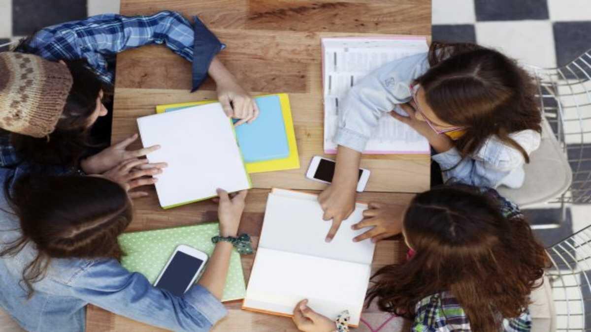 bridging course students