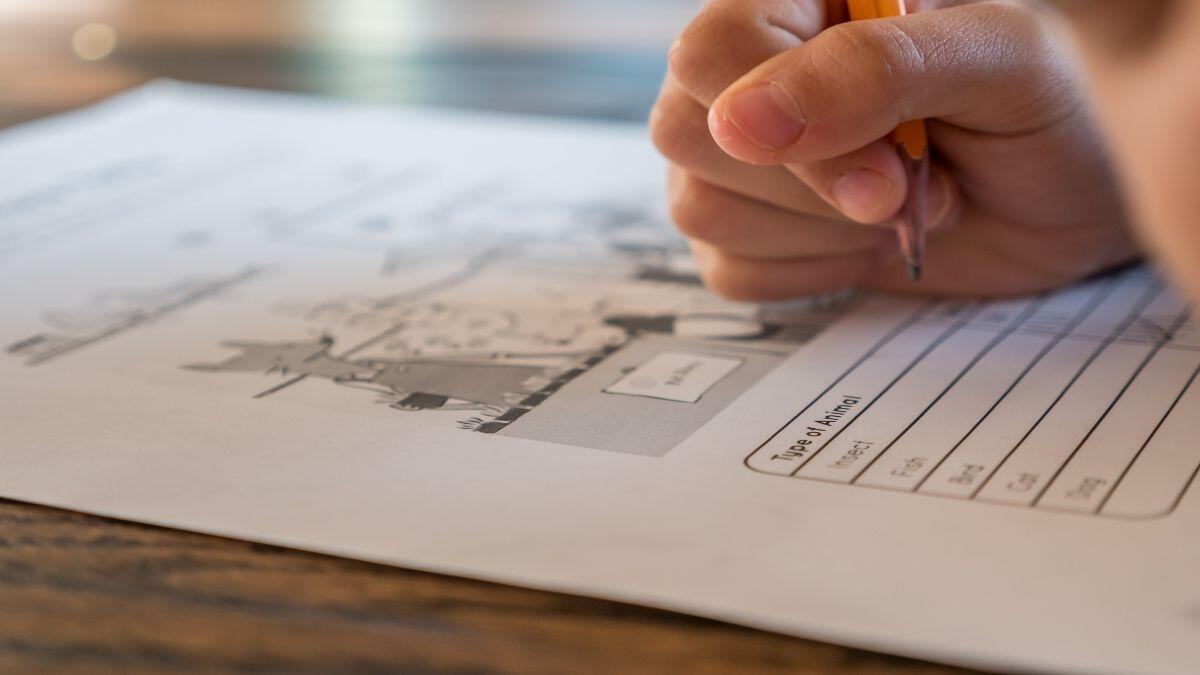 Unisa exam accommodations for students with disabilities
