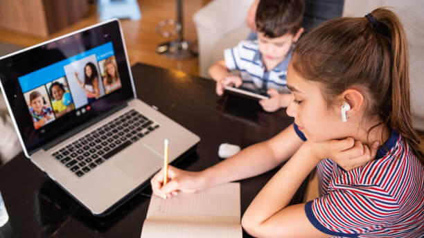 female student doing an online class with sibling beside her