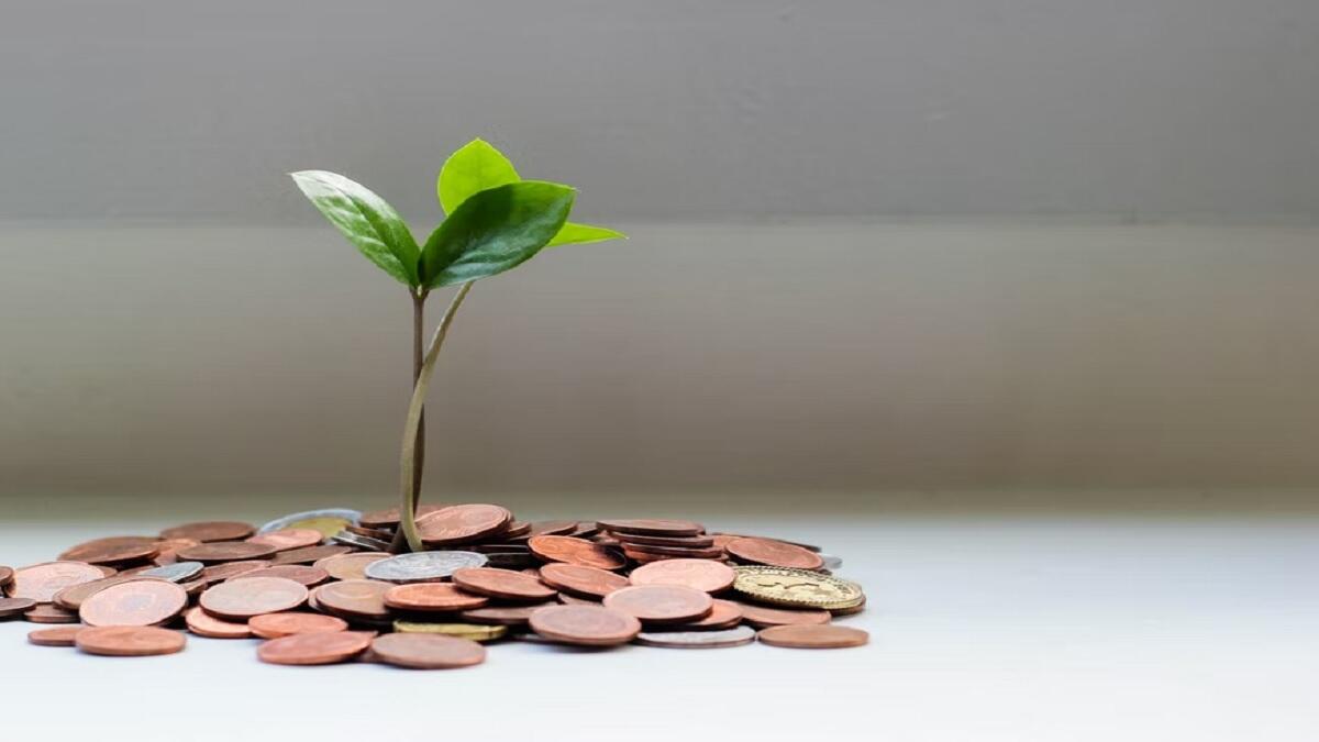 A tree growing coins