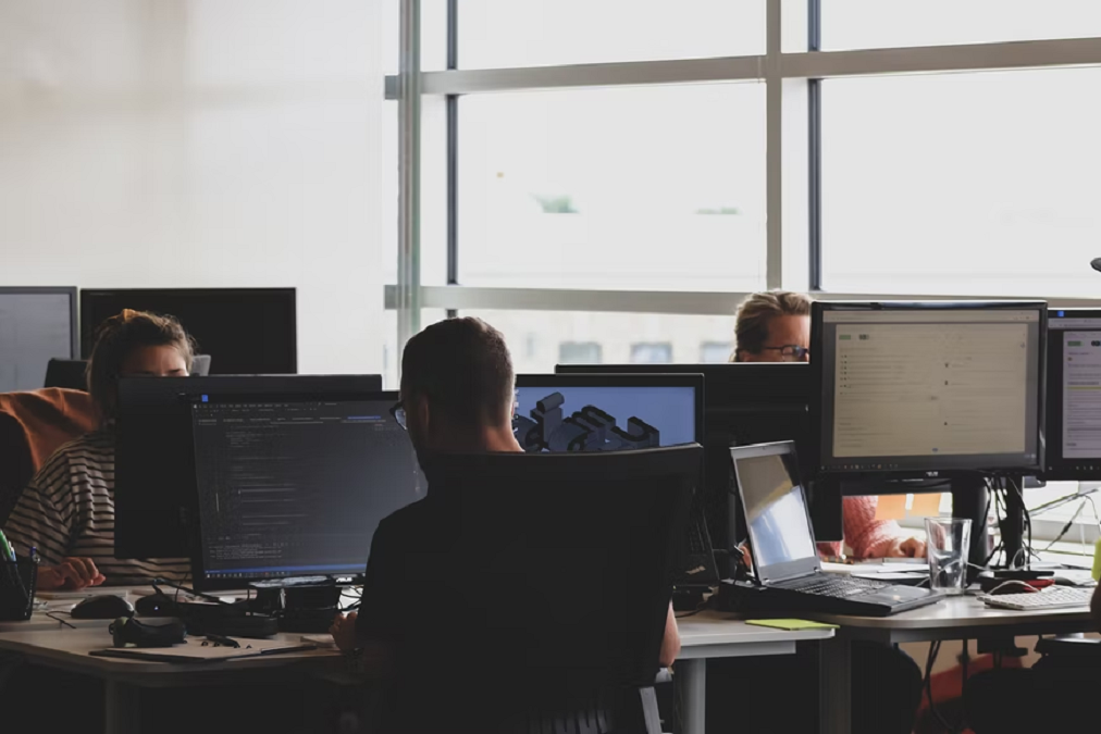 IT professionals