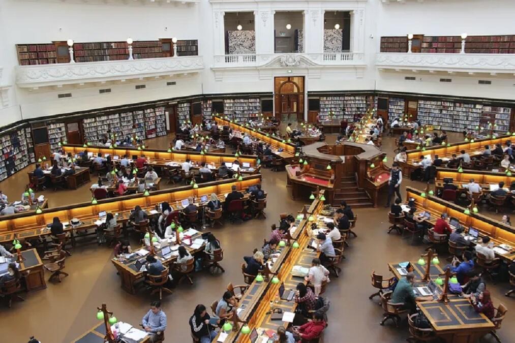 University students studying in the library