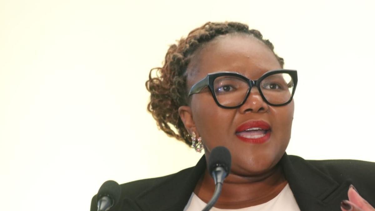 Minister of basic education 