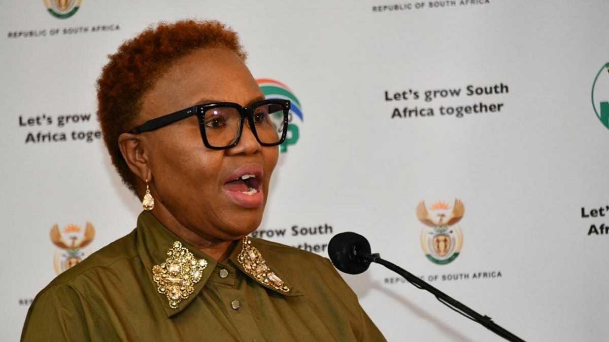 Minister of Social Development speaking about basic income support
