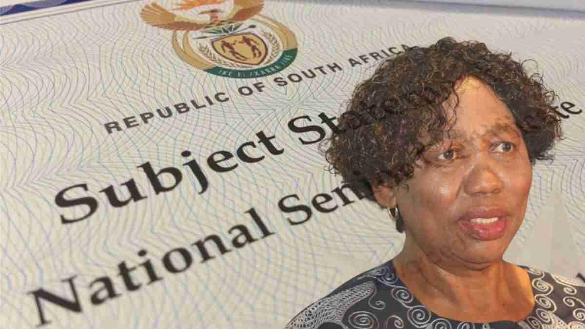 Education minister explaining matric pass requirements 