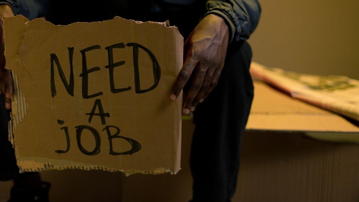 Unemployed graduate