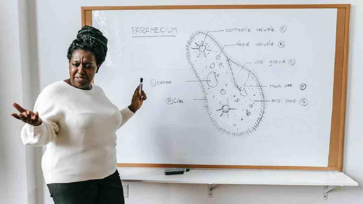 Teacher in South Africa 