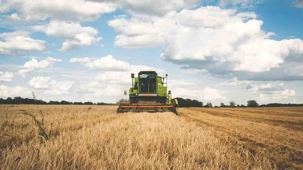 agriculture