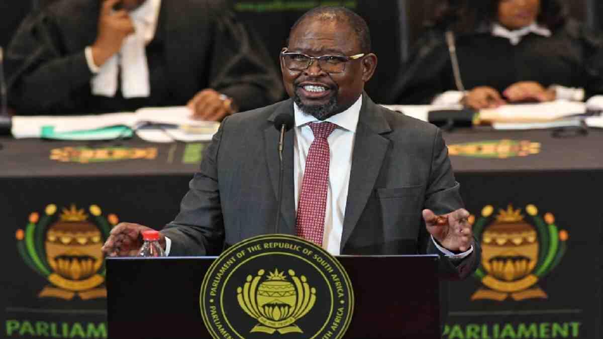 minister giving budget speech announcing sassa increases