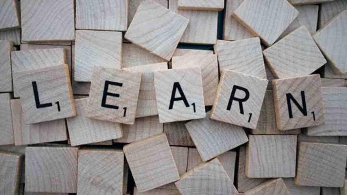 learn bricks