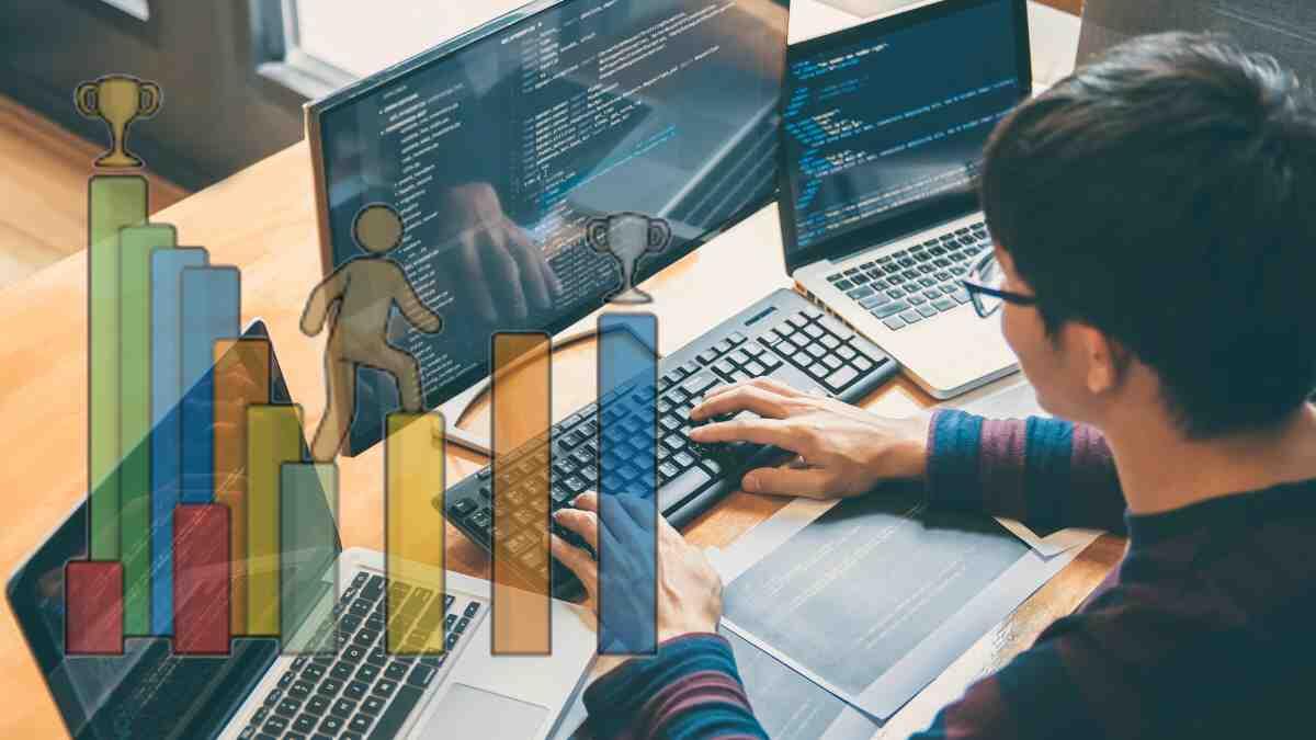 Software Developer