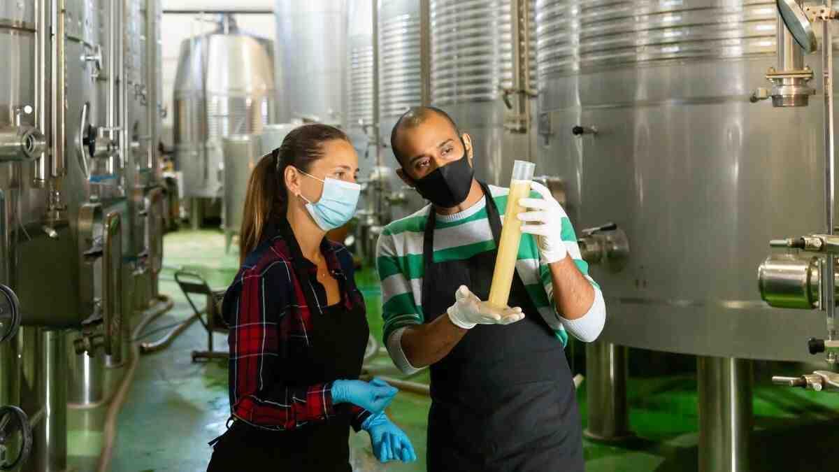 winemakers accessing a wine