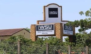 wsu