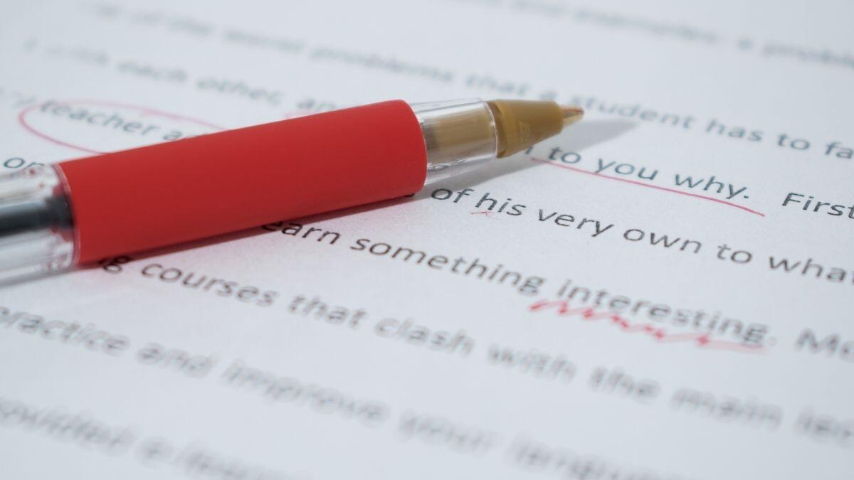 essay writing