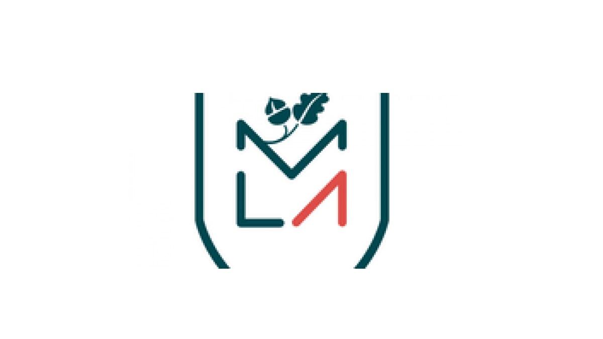 Management and Leadership Academy logo