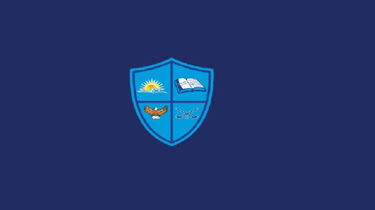 TaalNet Training Institute logo