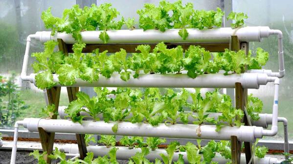 Agricultural Science Papers