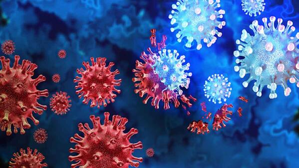 Virology Studies