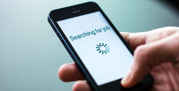 Job Search