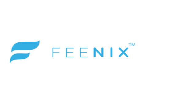 How Does Being Funded By Feenix Work?