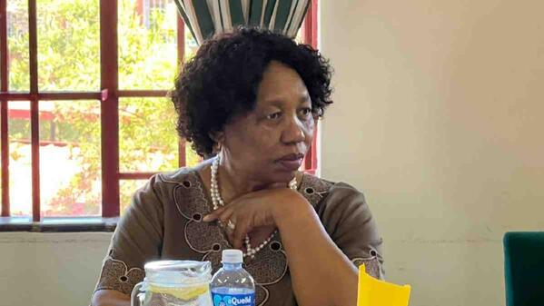 dbe minister angie motshekga