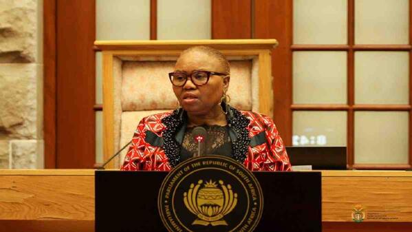 minister lindiwe zulu