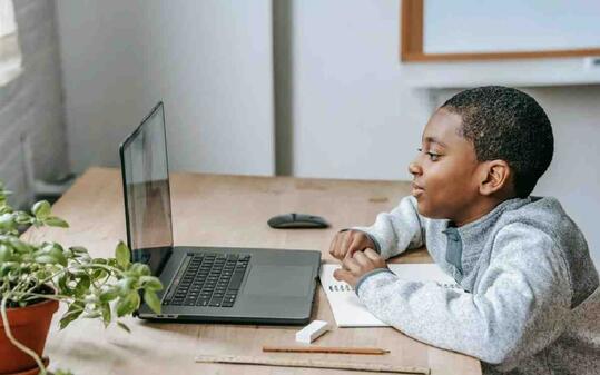 online learner
