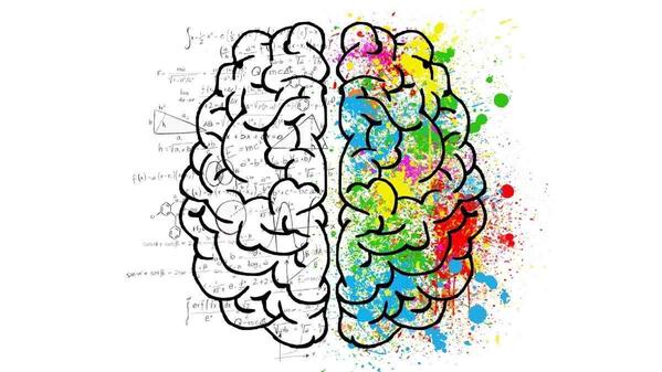 brain