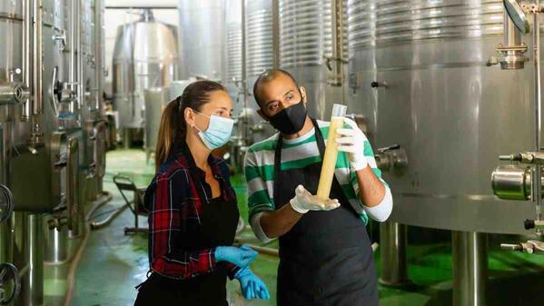 winemakers accessing a wine