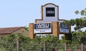 wsu